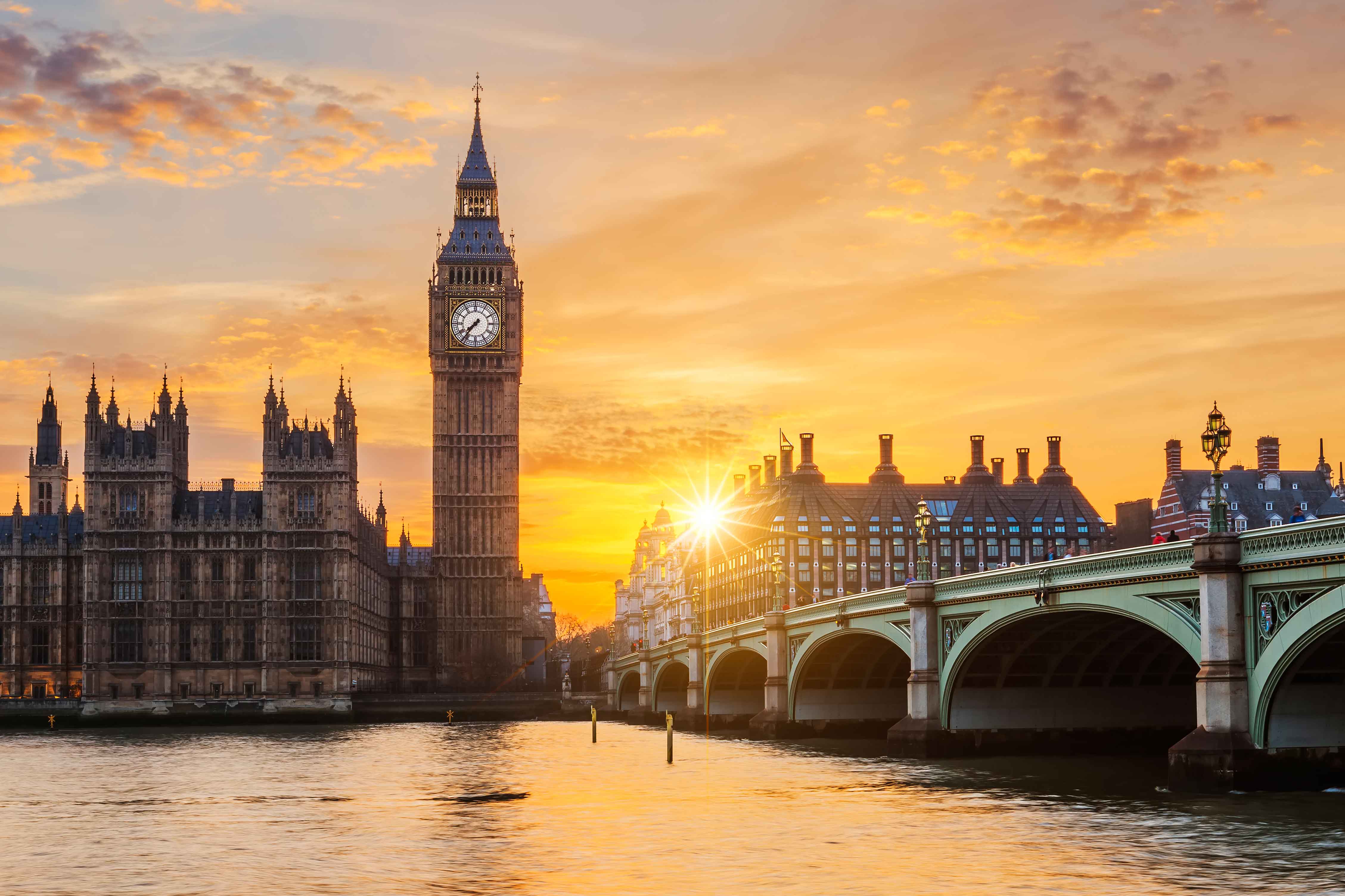 Consultancy Services