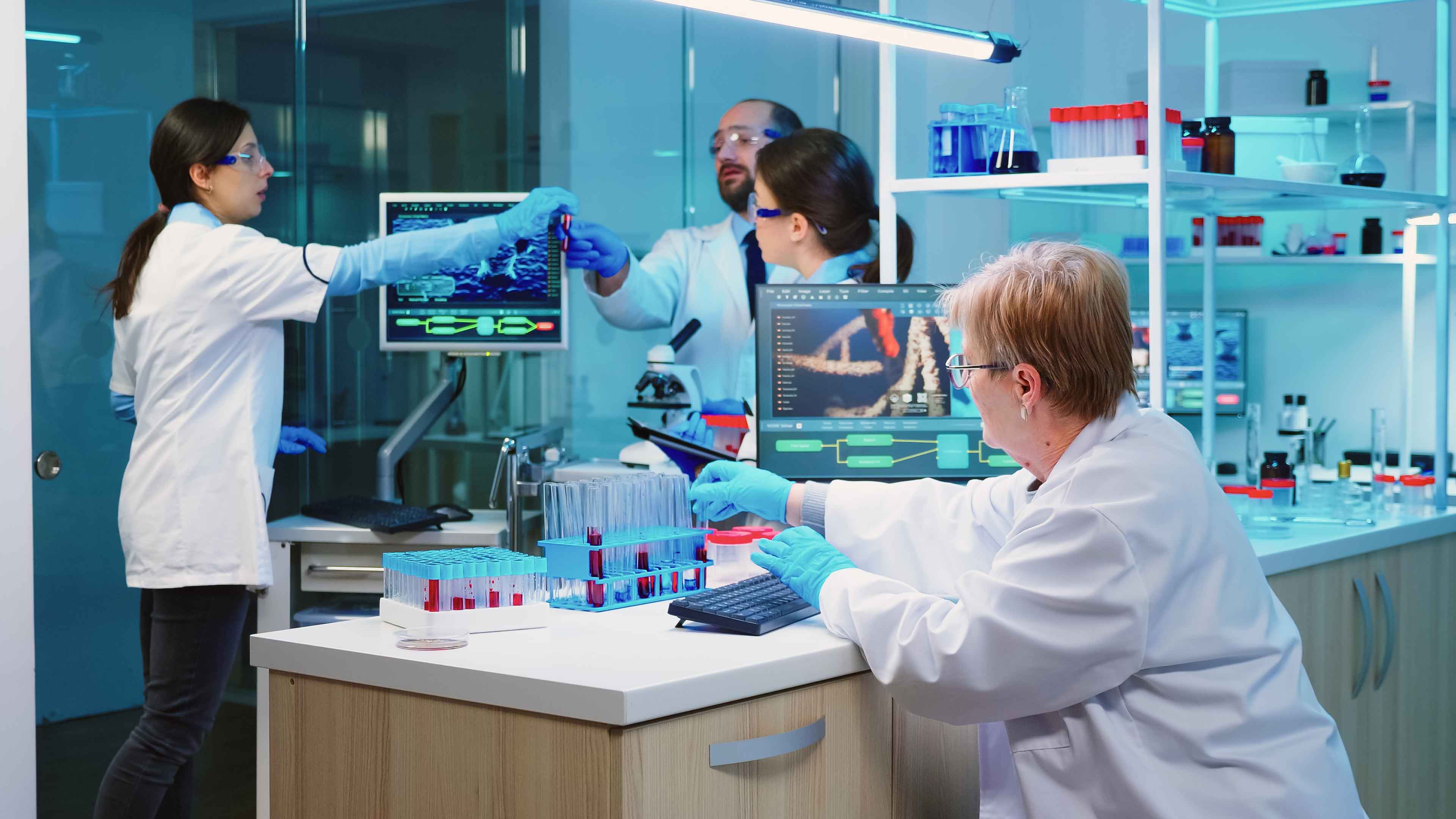 LMS software interface